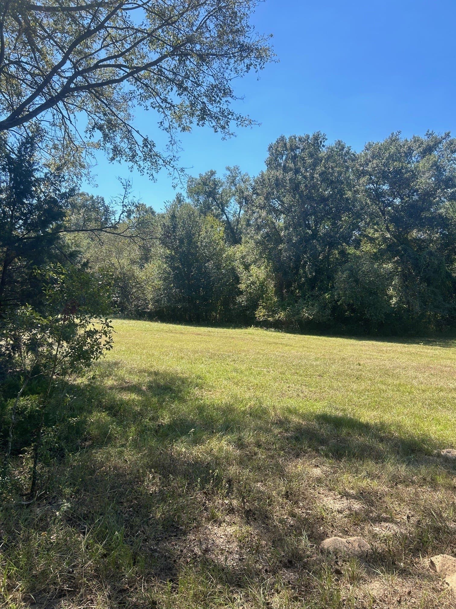 24.95 acres in Henderson County - photo 4