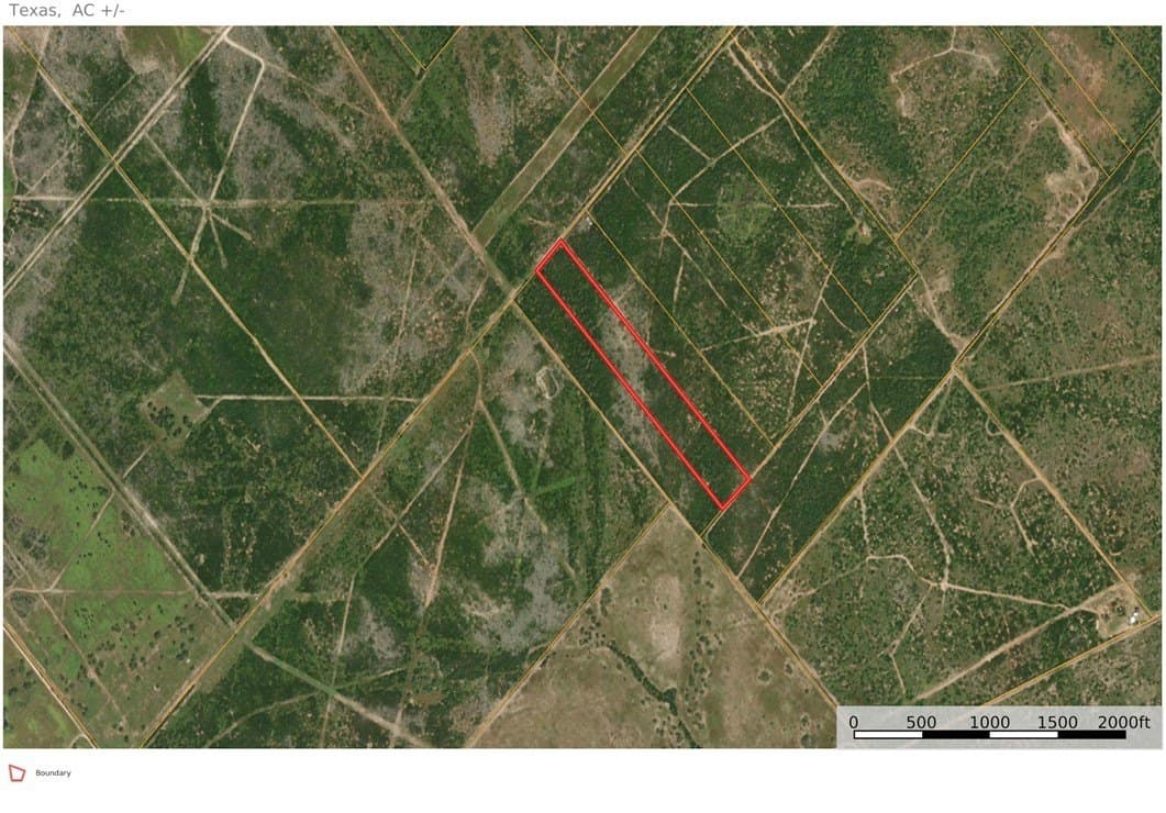 11.91 acres in Live Oak County - photo 3