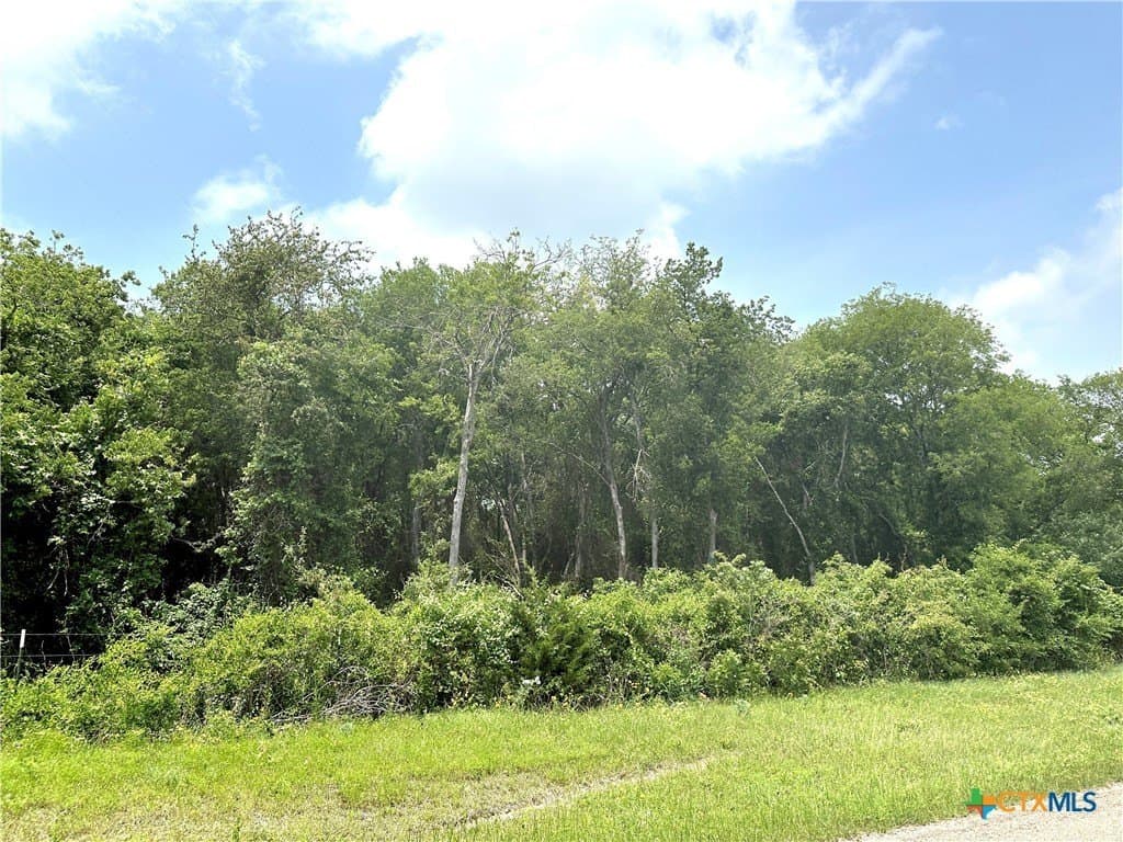 23.8 acres in McLennan County - photo 8