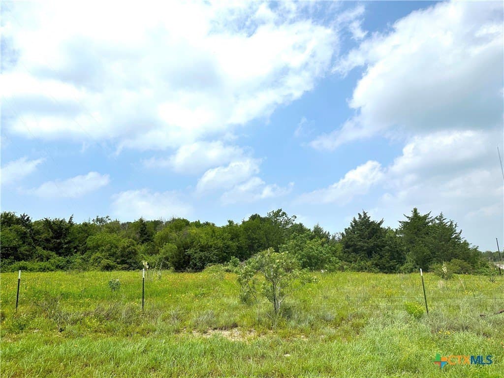 23.8 acres in McLennan County - photo 7