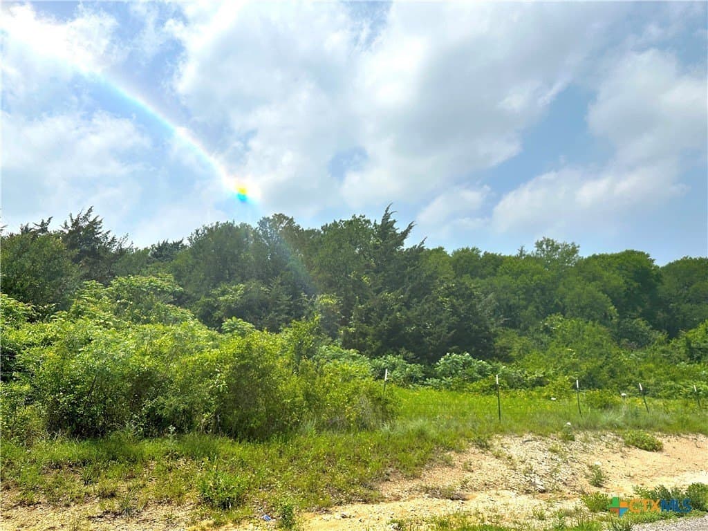 23.8 acres in McLennan County - photo 6