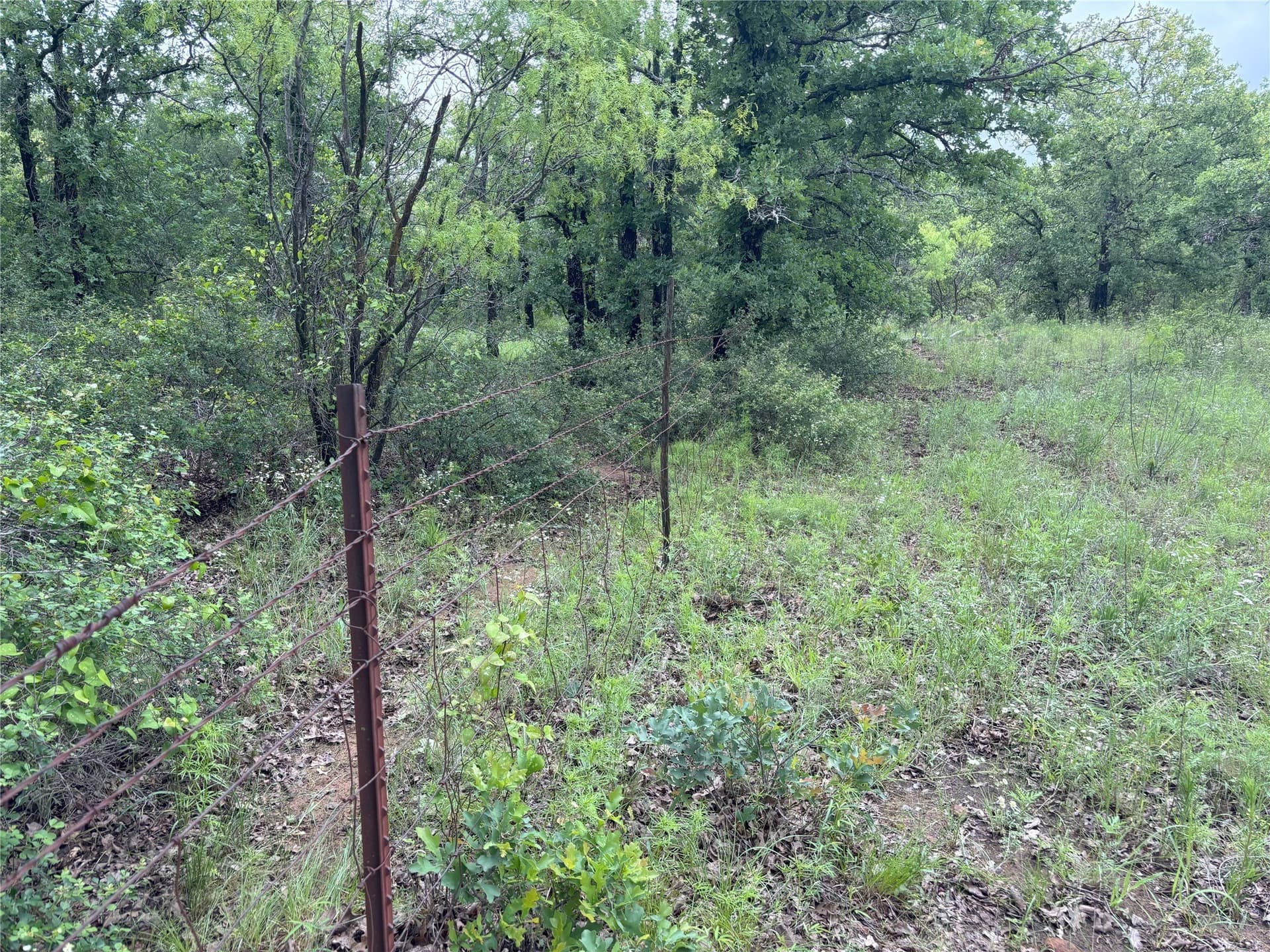 40 acres in Jack County - photo 9