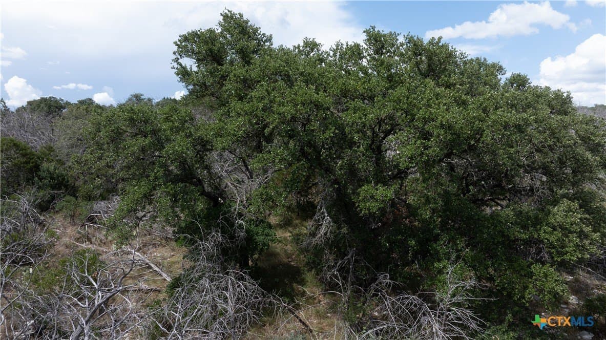 15.98 acres in Lampasas County - photo 36