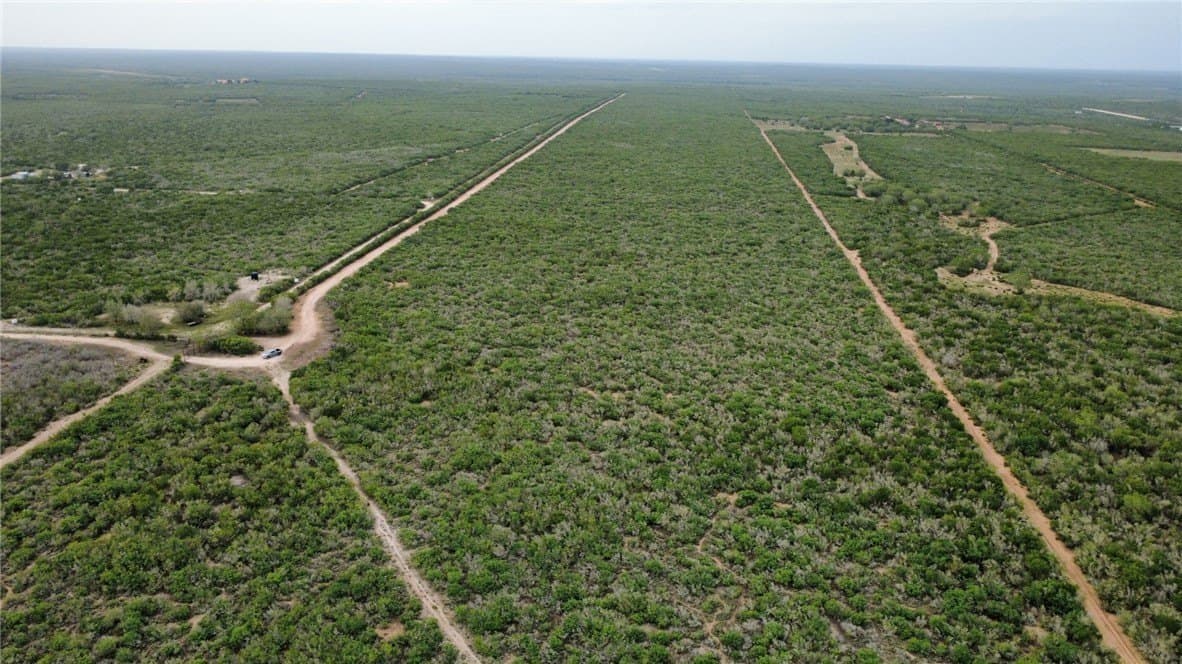 130 acres in Duval County - photo 3