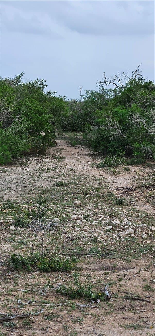 130 acres in Duval County - photo 2