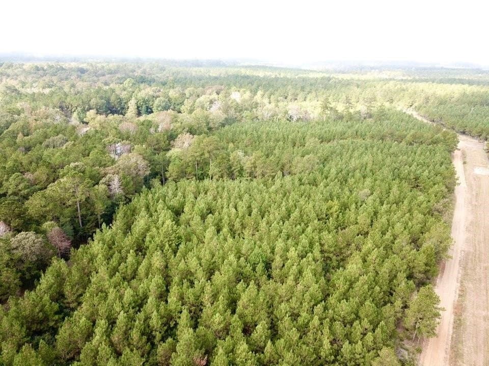 10 acres in Tyler County featured view