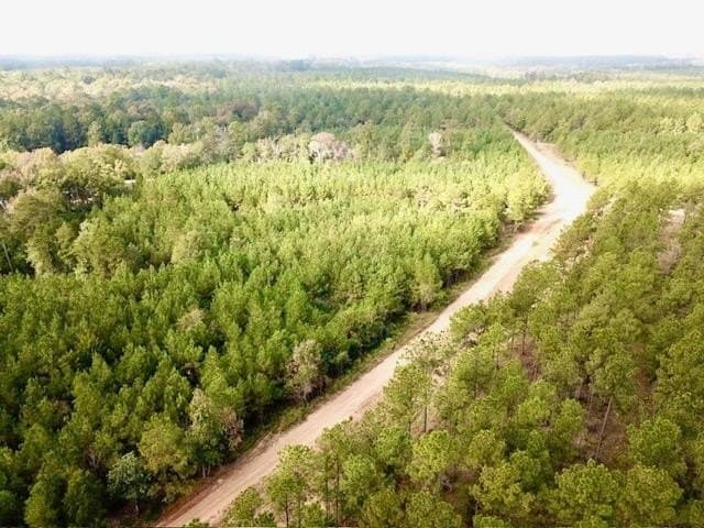 10 acres in Tyler County