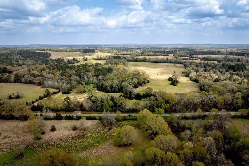53.02 acres in HOUSTON County gallery image 2