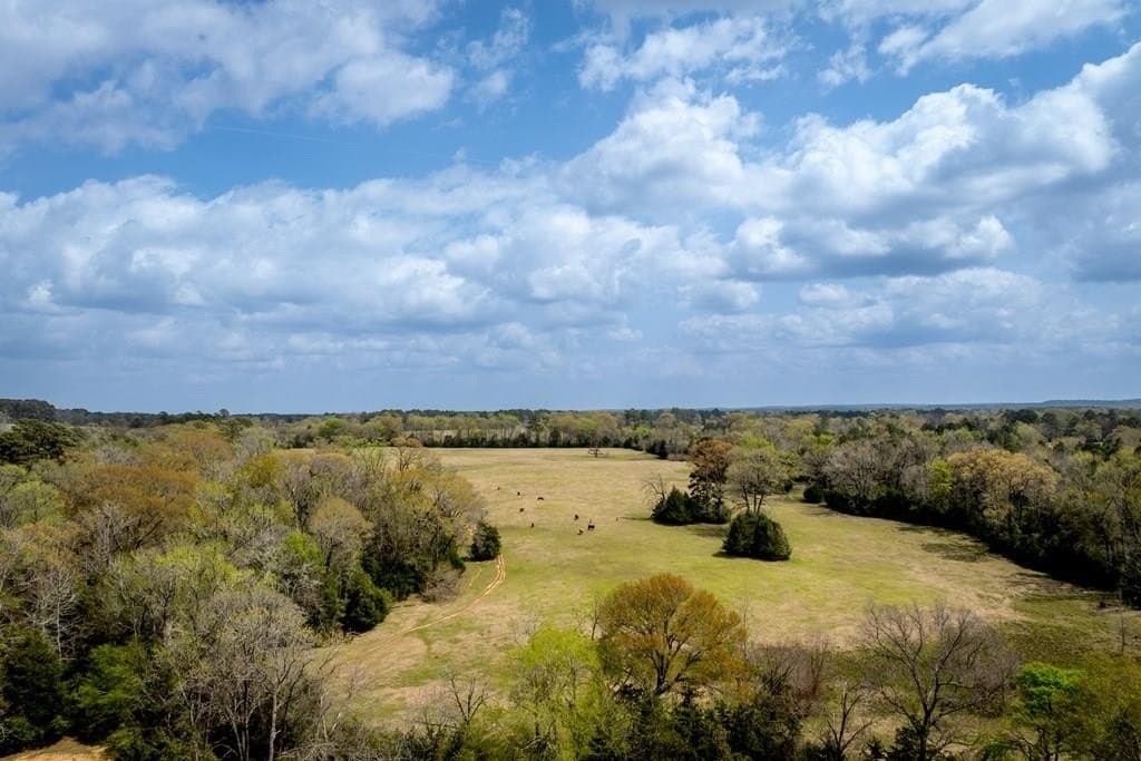 53.02 acres in HOUSTON County
