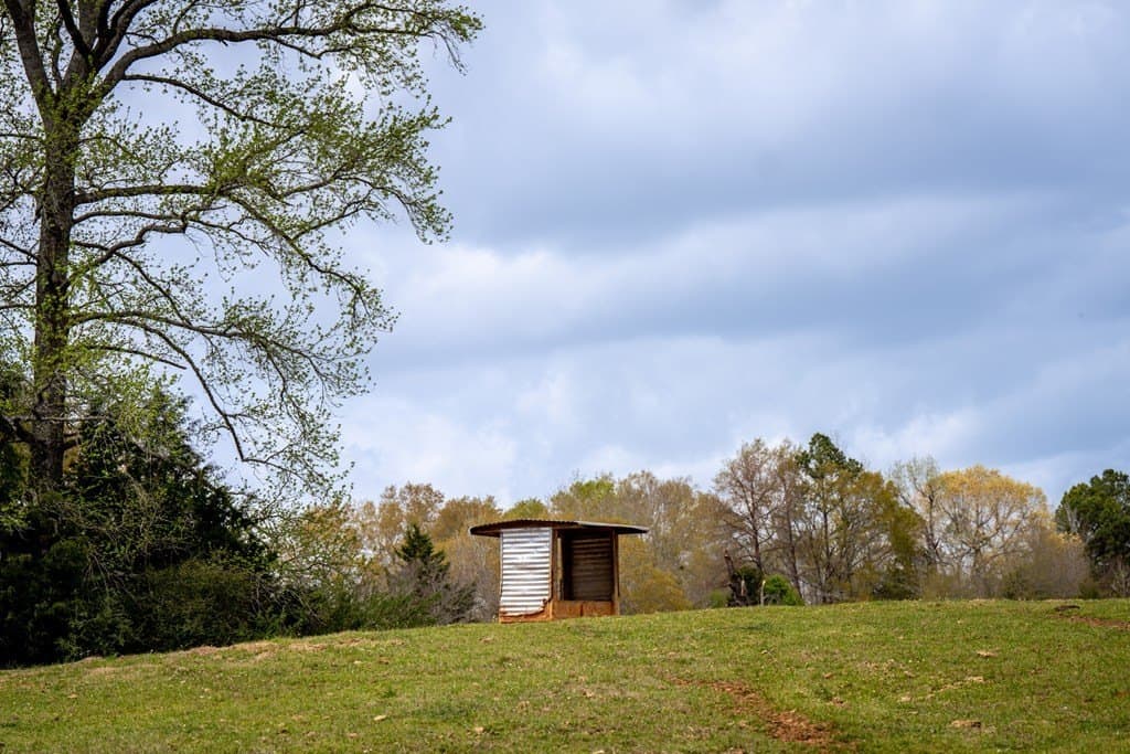 53.02 acres in HOUSTON County featured view