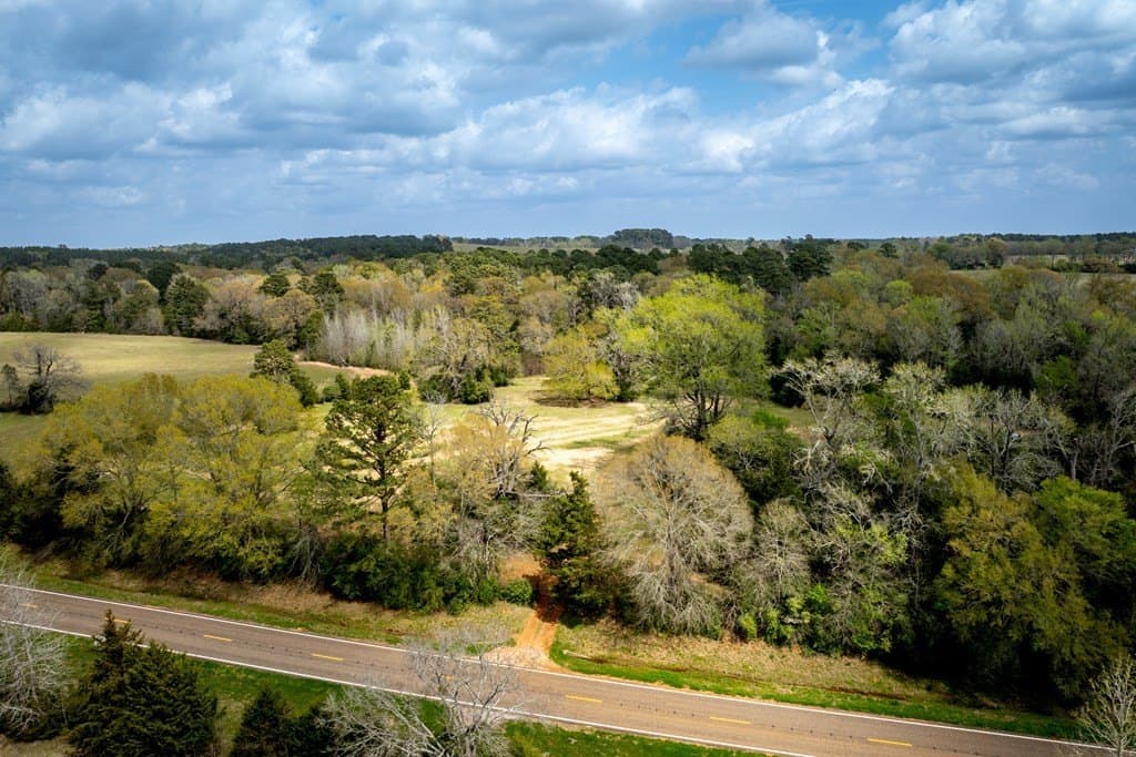 53.02 acres in HOUSTON County gallery image 4