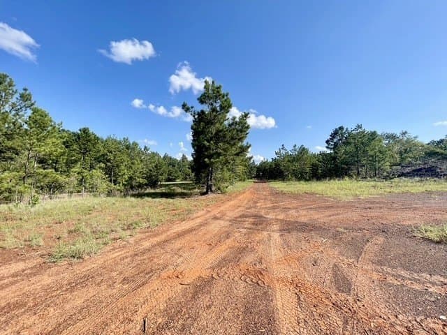18.87 acres in Rusk County - photo 28