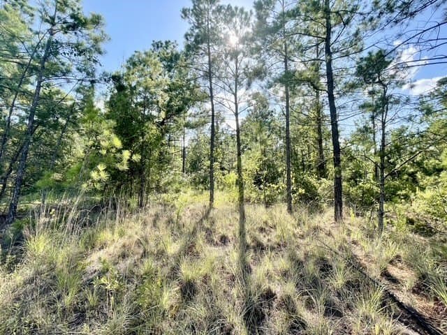 18.87 acres in Rusk County - photo 30