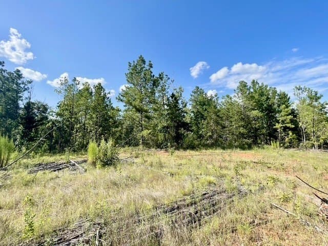 18.87 acres in Rusk County - photo 29