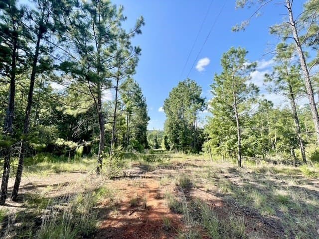 18.87 acres in Rusk County - photo 26