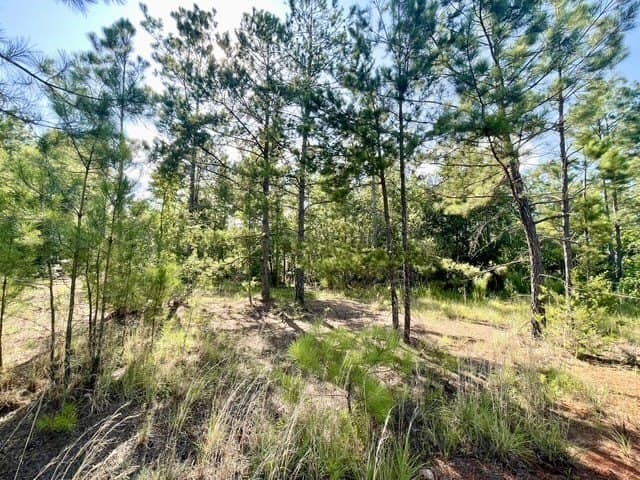 18.87 acres in Rusk County - photo 27