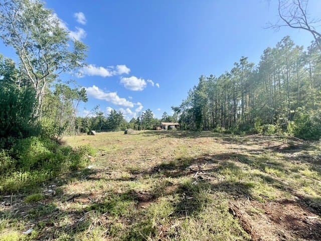 18.87 acres in Rusk County - photo 31