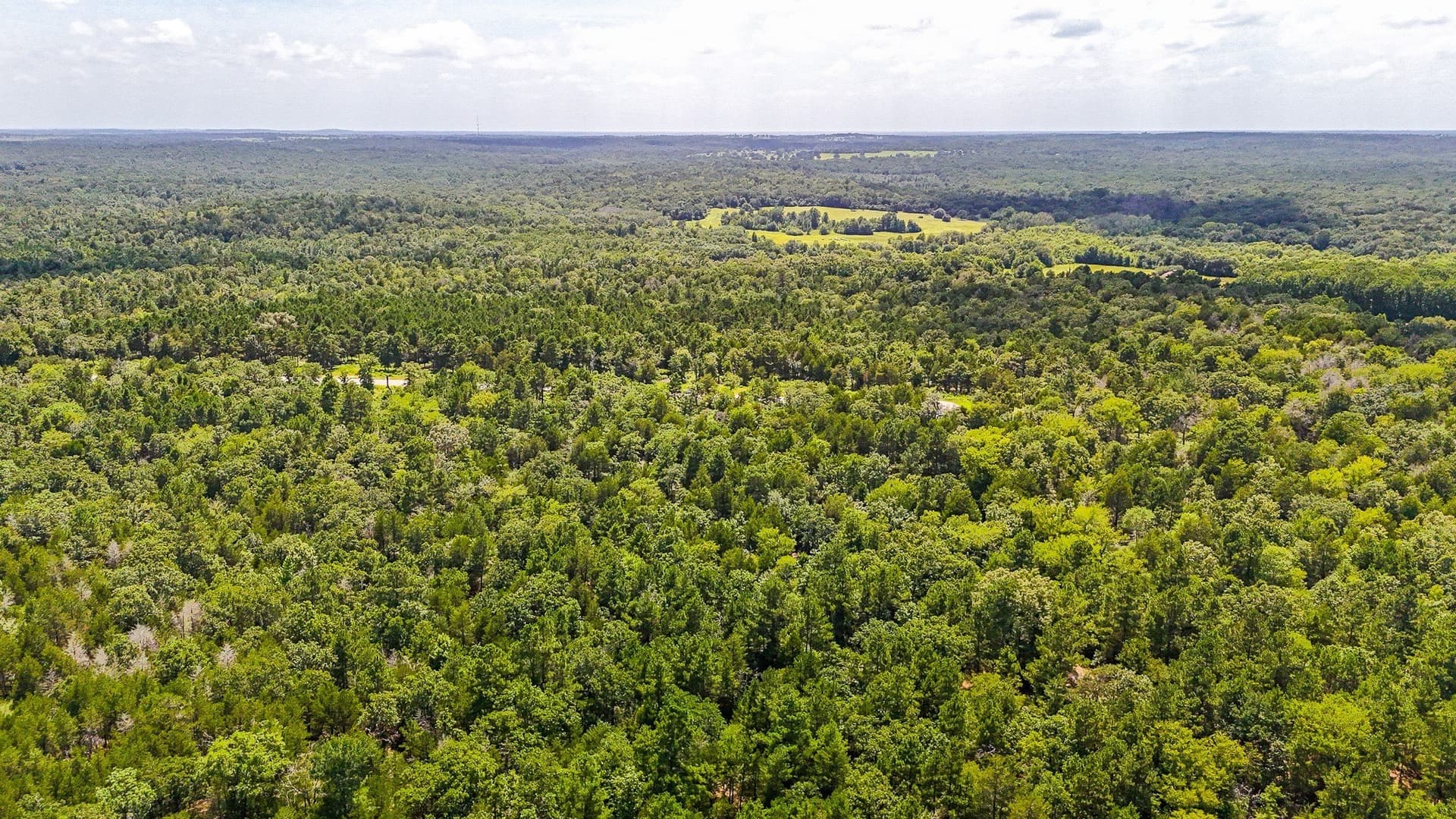 10.2 acres in Freestone County - photo 31