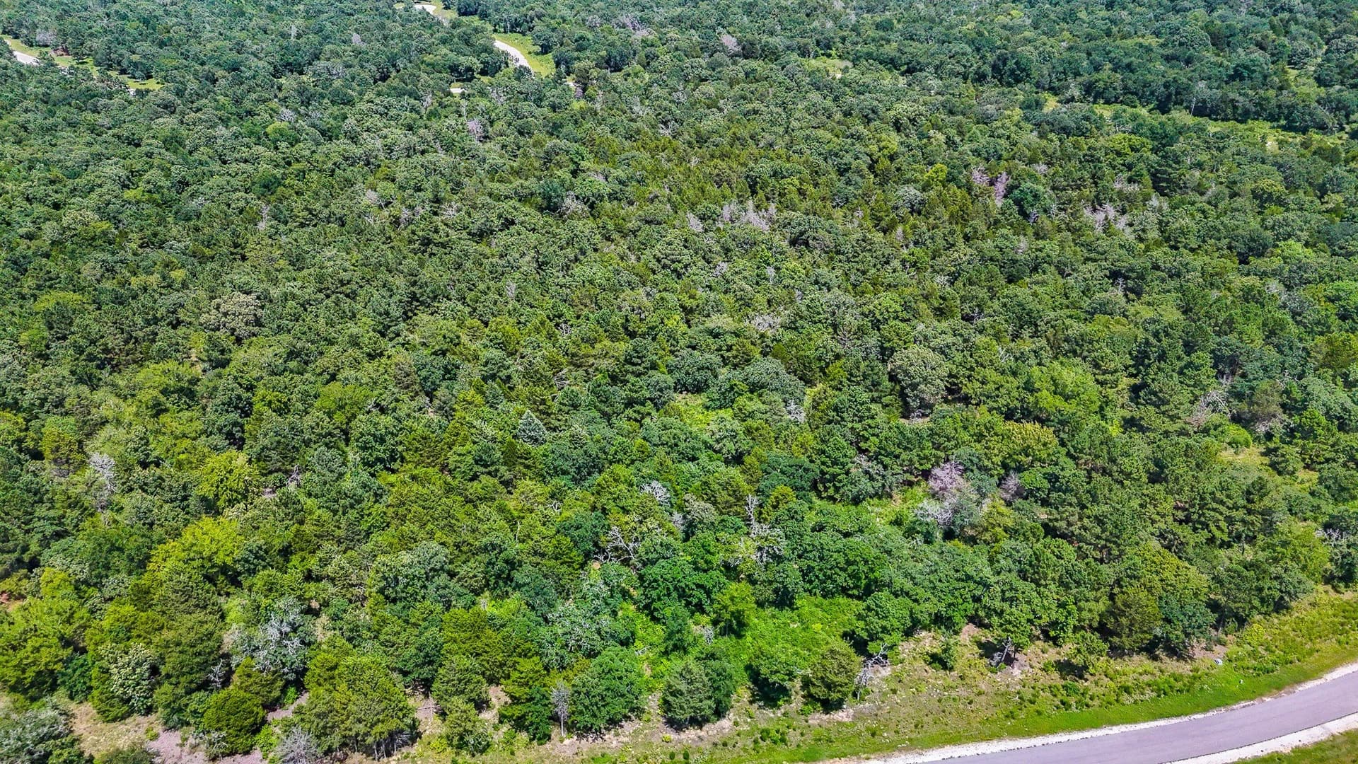 10.2 acres in Freestone County - photo 29