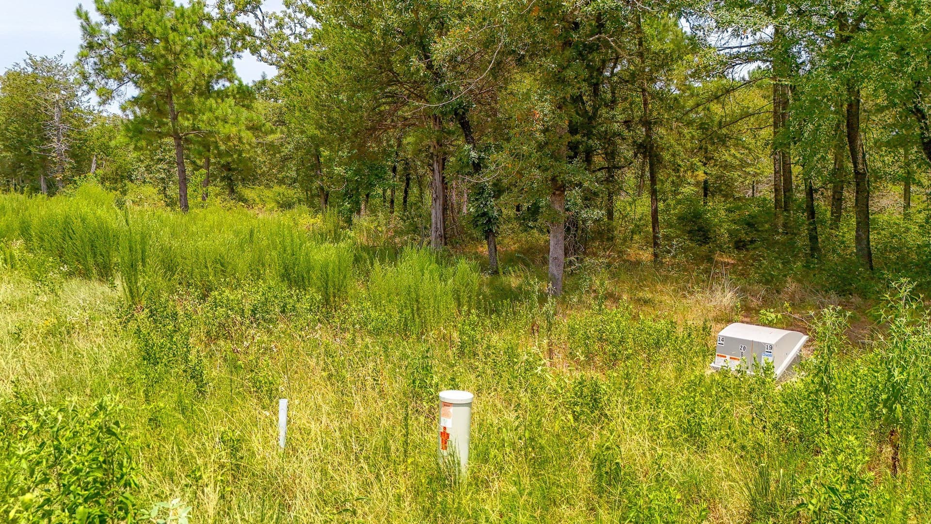 10.2 acres in Freestone County - photo 17