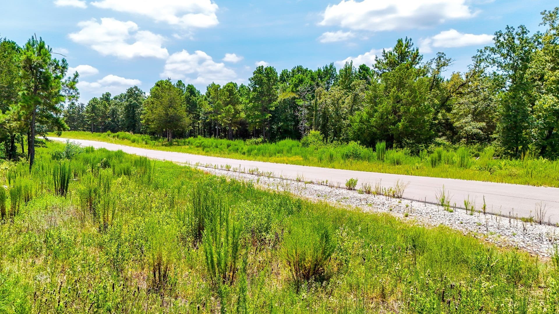 10.2 acres in Freestone County - photo 13