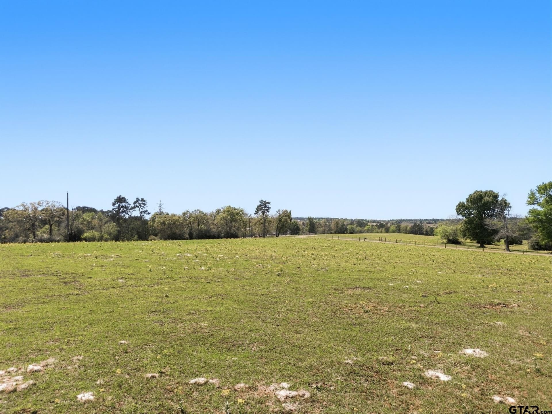 94.93 acres in Houston County gallery image 3