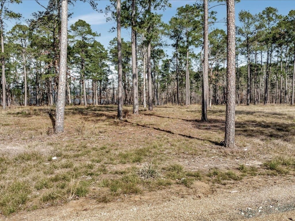 600 acres in Texas County gallery image 4