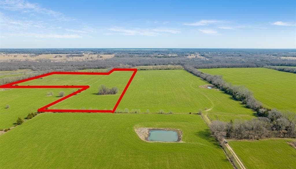 38.96 acres in Lamar County gallery image 2