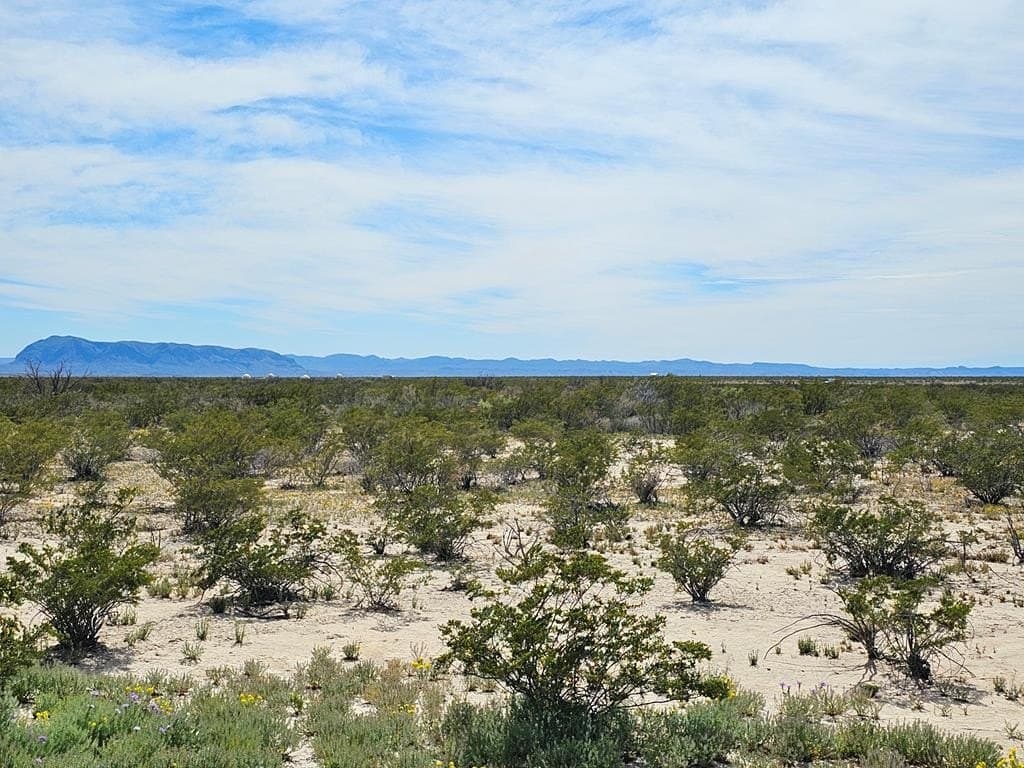 30 acres in Brewster County - photo 9