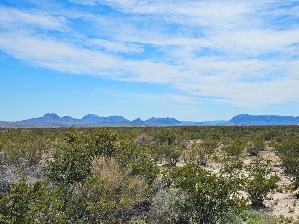 30 acres in Brewster County gallery image 3