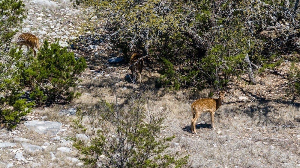 378 acres in Edwards County featured view
