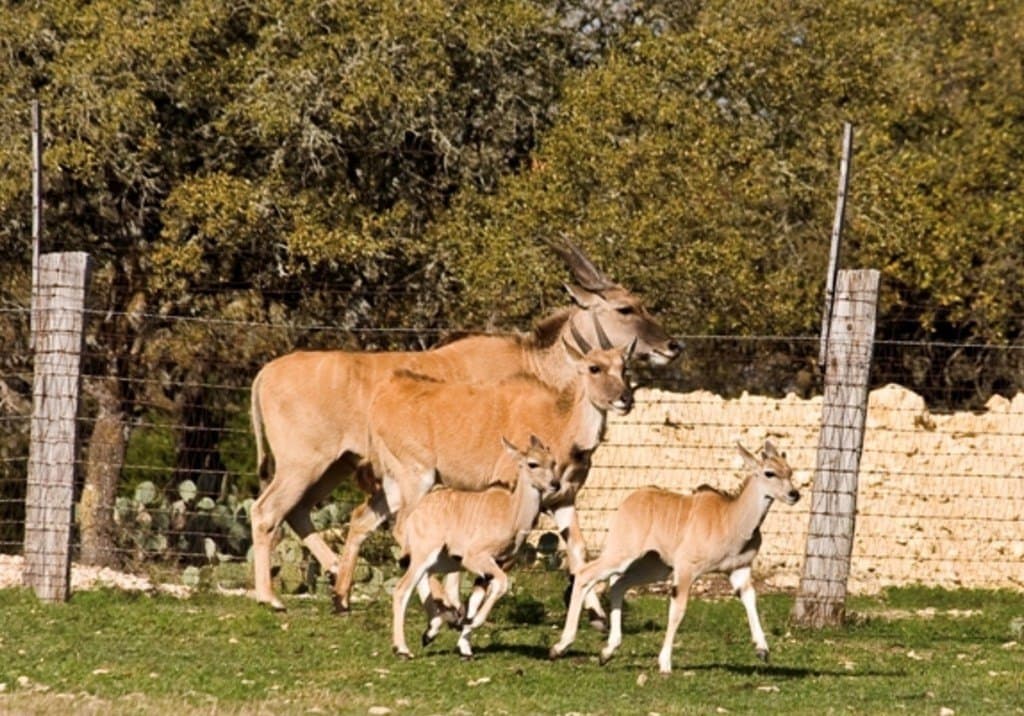 378 acres in Edwards County gallery image 4
