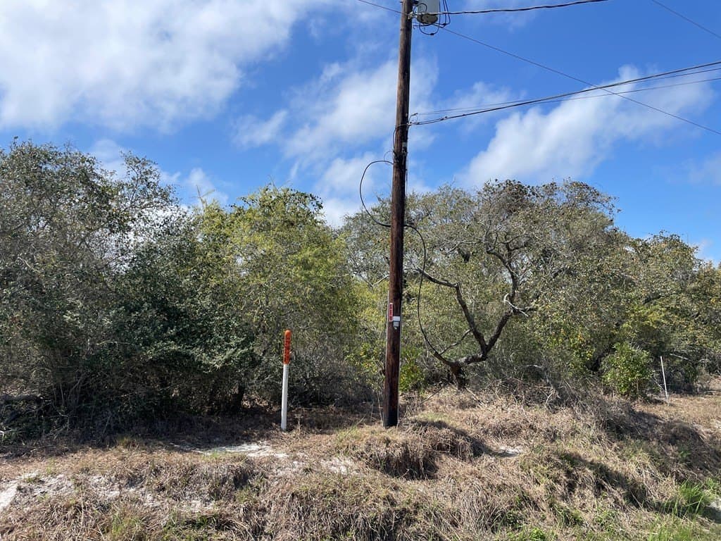 0.14 acres in Texas County - photo 2