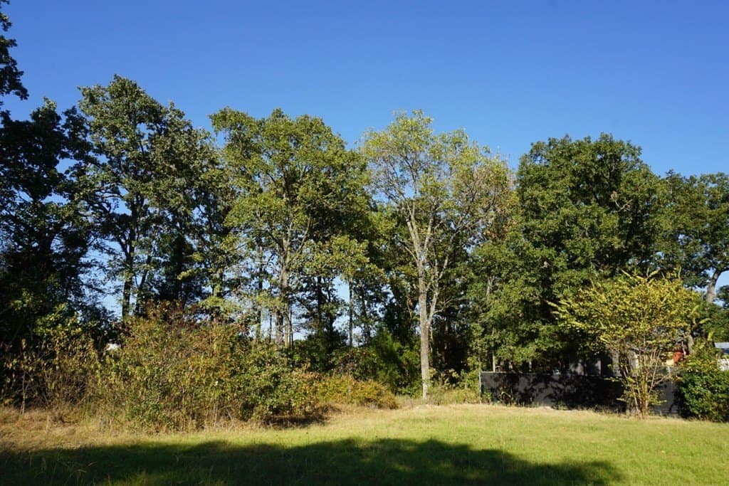 0.13 acres in HENDERSON County - photo 12