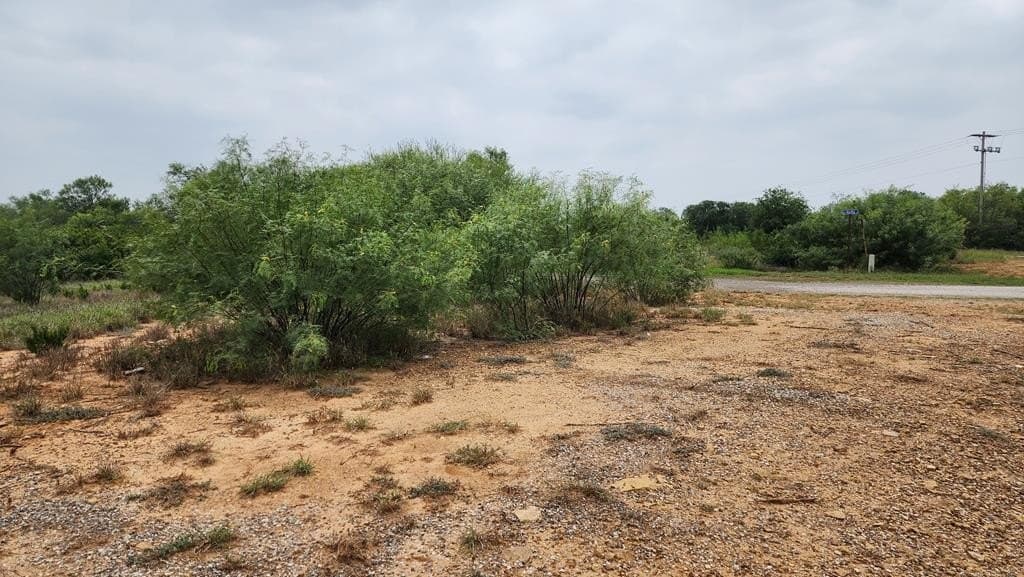 13.04 acres in Dimmit County - photo 2