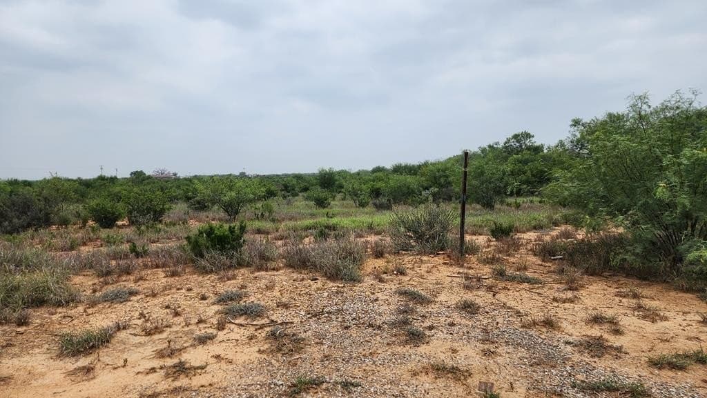 13.04 acres in Dimmit County - photo 3