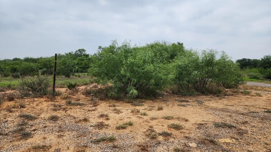 13.04 acres in Dimmit County - photo 4
