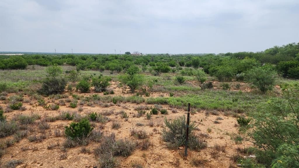 13.04 acres in Dimmit County - photo 6