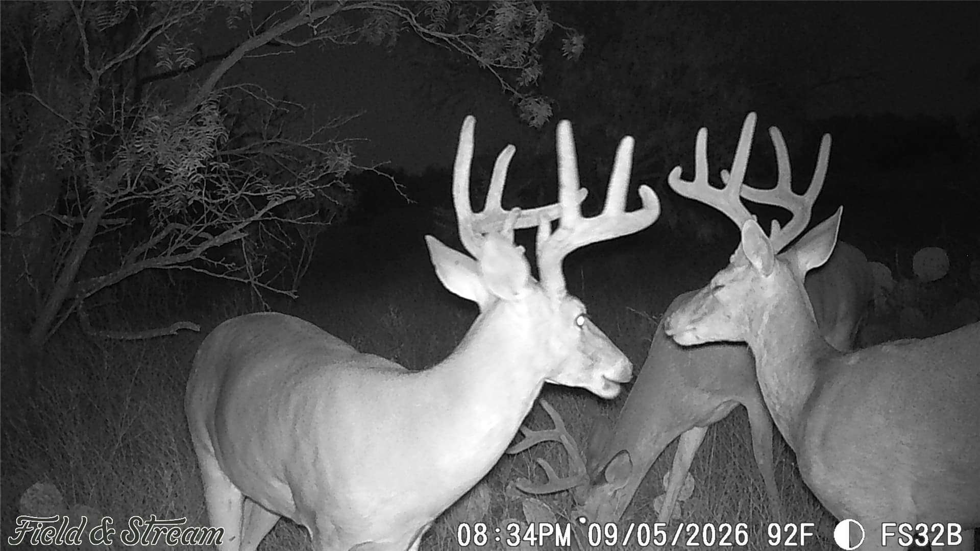 10.02 acres in Concho County - photo 5