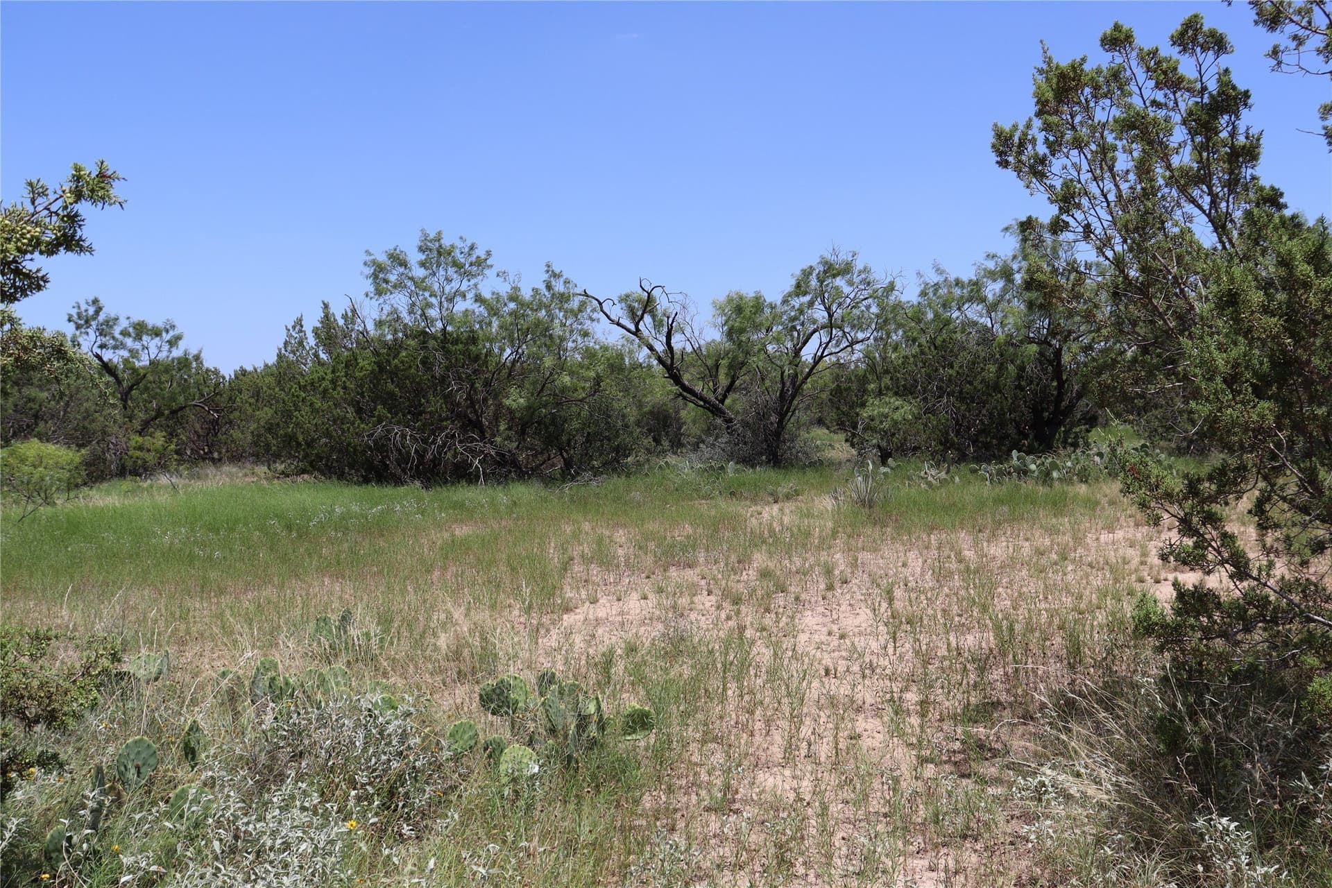 10.02 acres in Concho County - photo 27