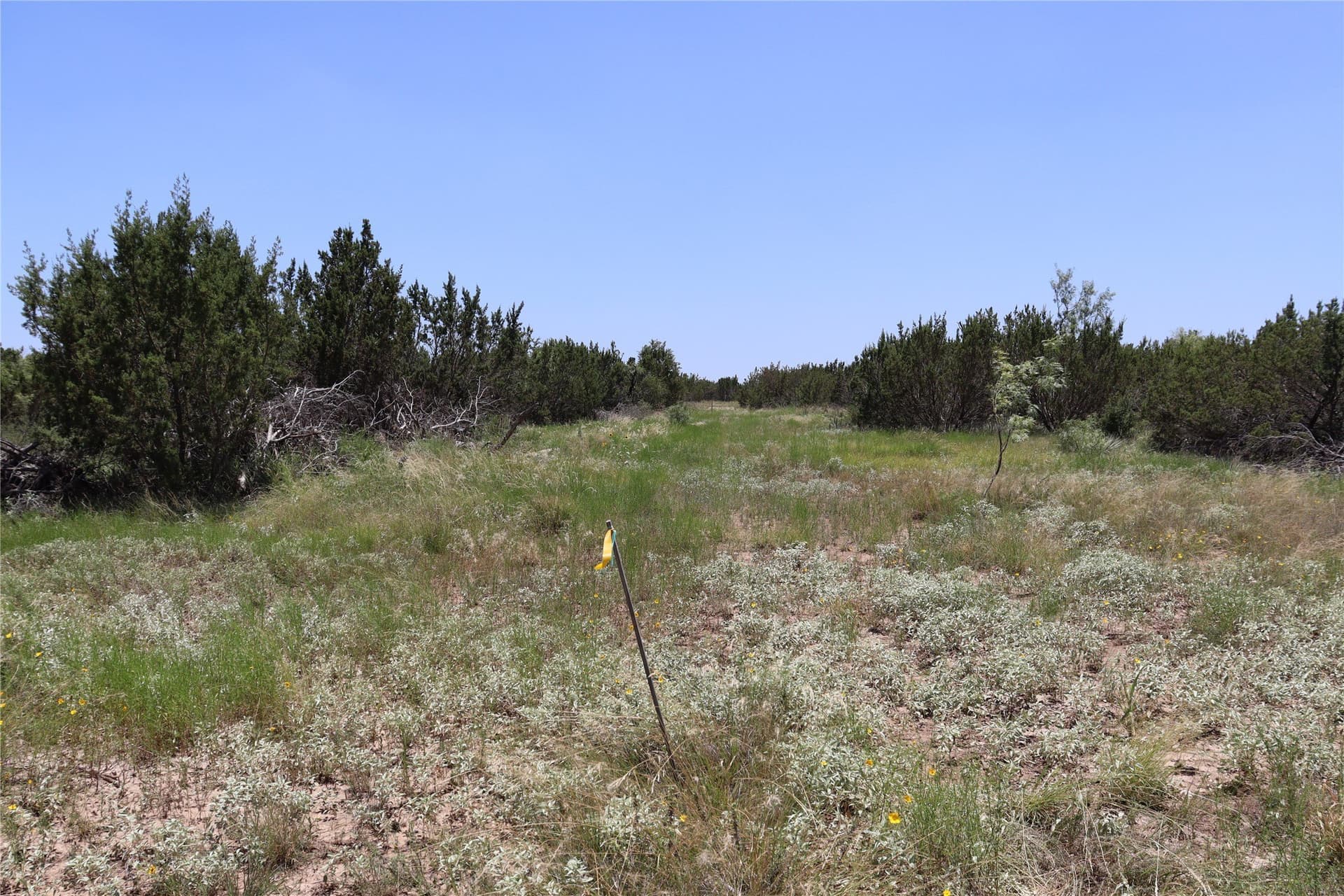 10.02 acres in Concho County - photo 23