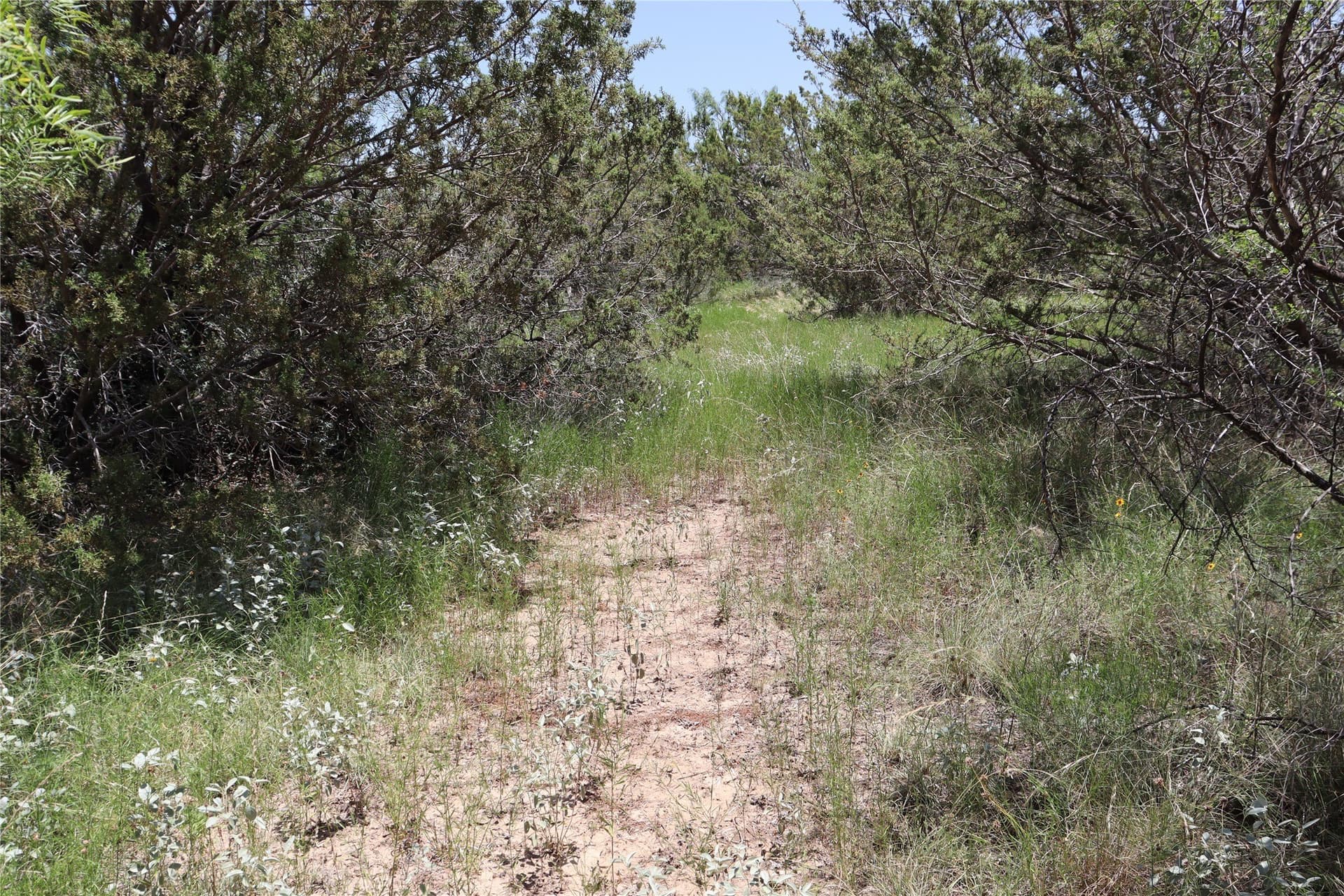 10.02 acres in Concho County - photo 25