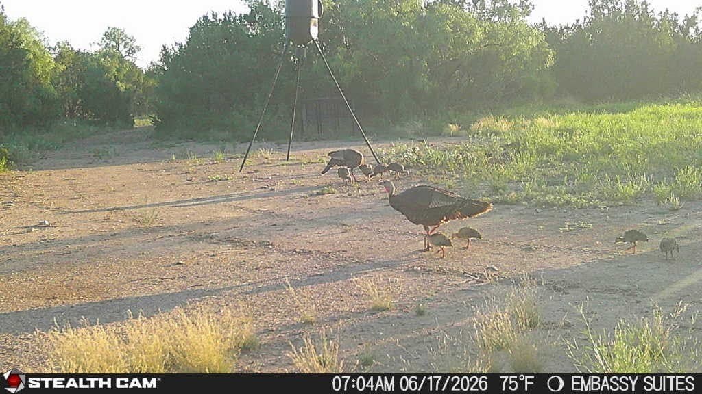 10.02 acres in Concho County - photo 8