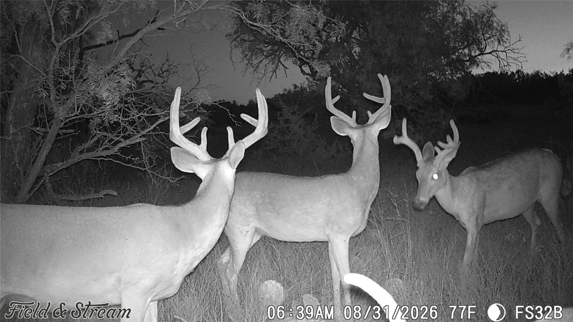 10.02 acres in Concho County - photo 7