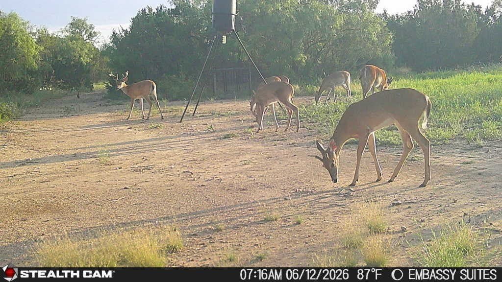 10.02 acres in Concho County - photo 7