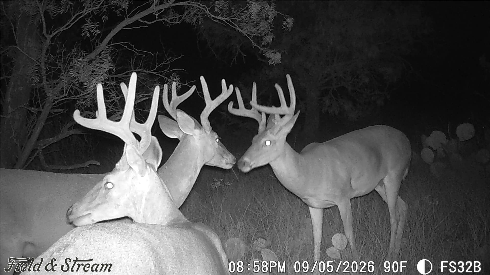 10.02 acres in Concho County - photo 8