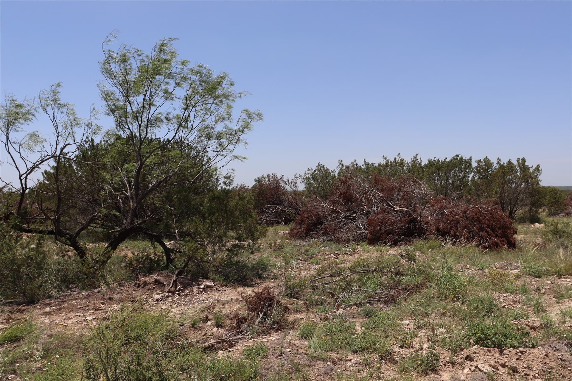 10.02 acres in Concho County - photo 33