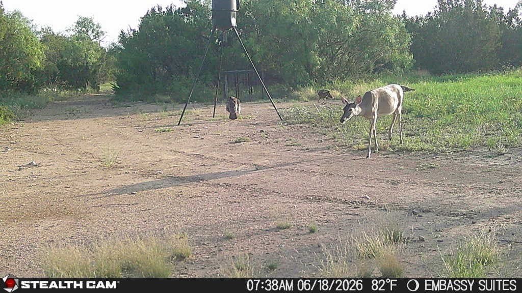 10.02 acres in Concho County - photo 10