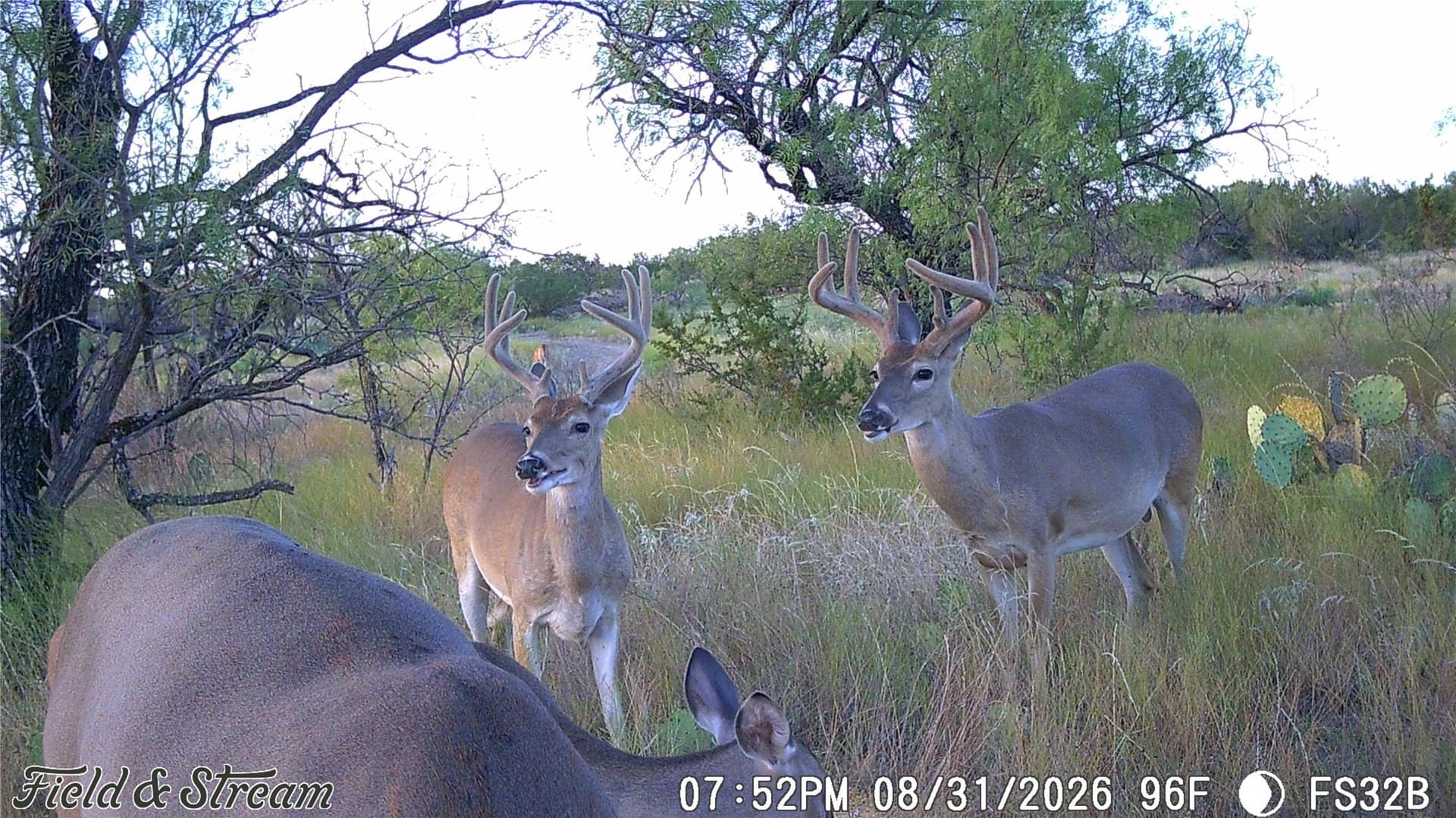 10.02 acres in Concho County - photo 4