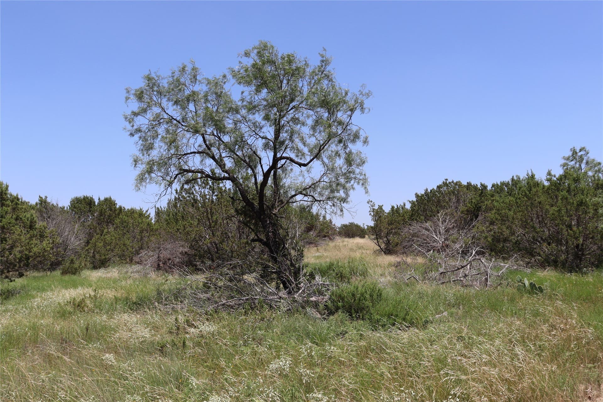 10.02 acres in Concho County - photo 29